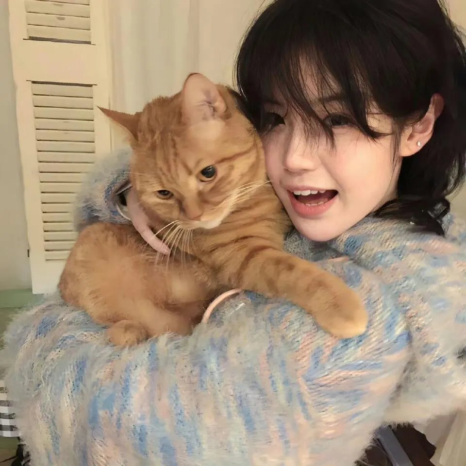 猫公主苏菲 在线观看