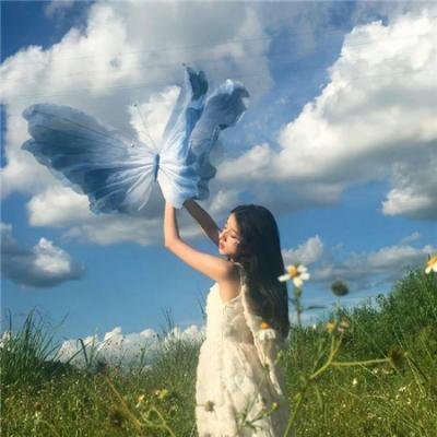 八月桂花香 在线观看